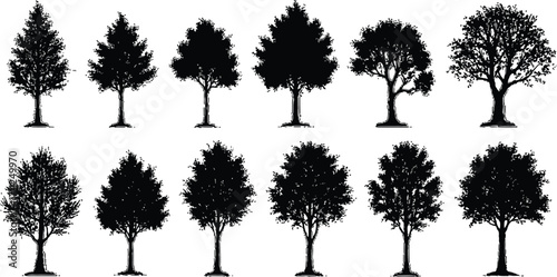 Collection of detailed tree silhouettes perfect for design projects, creating a natural feel