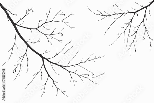 Silhouette of Branch: This minimalist image of branches offers a serene view of nature.
