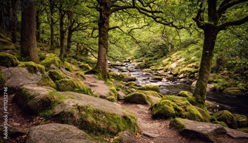 Mossy rocks line a river path through dense trees in an enchanting forest under a vivid green canopy. Cool water flowing