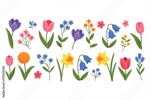 Collection of colorful spring flowers including tulips daffodils bluebells crocuses and forget me nots
