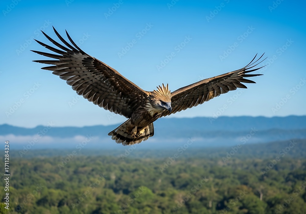 Fototapeta premium Majestic Eagle Soaring Above Lush Forest.