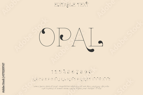Elegant opal text with delicate decorative elements on a soft background