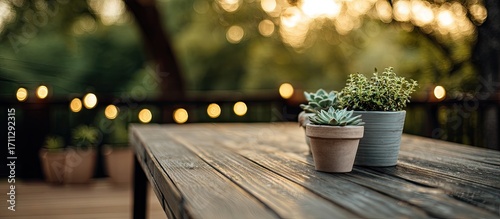 Rustic wooden table with potted plants and bokeh string lights outdoors.