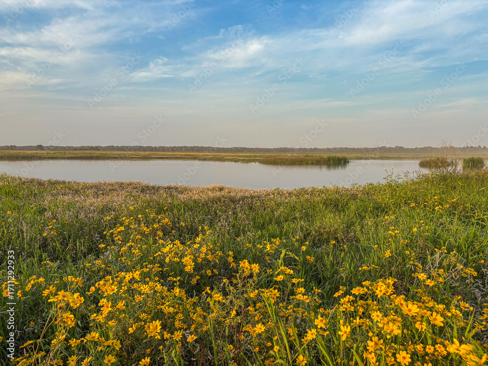 Obraz premium Open floodplain field with a large pond