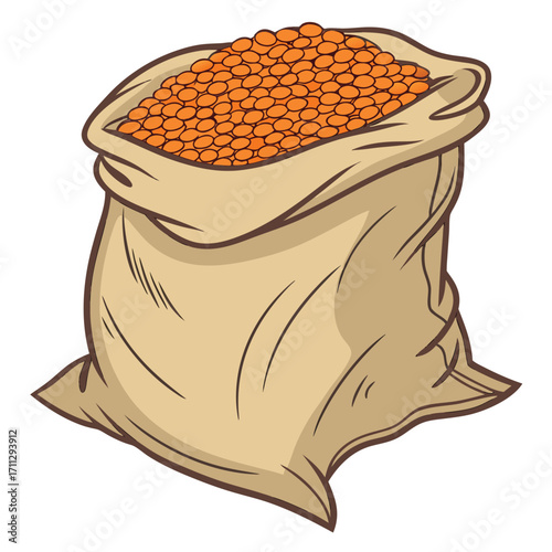 Burlap sack is filled abundantly with uncooked, dry, vibrant orange lentils on a white background