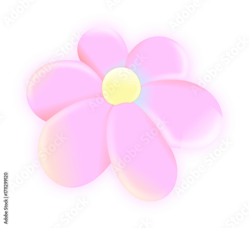 pink and white flower