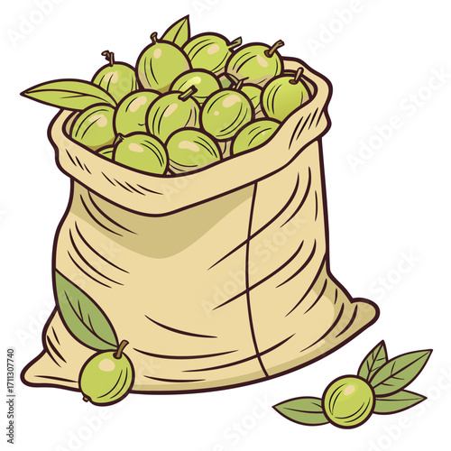 An organic canvas sack overflowing with fresh green olives showcases harvest abundance against white