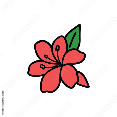 Detailed red azalea bloom presents vibrant petals and foliage against a white background