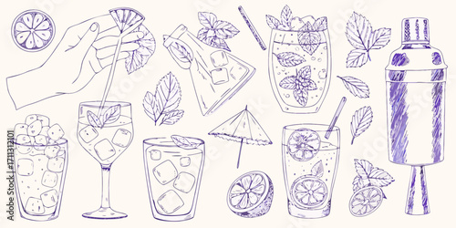 Hand drawn sketch of refreshing summer cocktails with ice mint and lemon slices garnished with mint leaves and a cocktail shaker