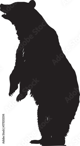 Powerful bear silhouette standing tall with mouth open