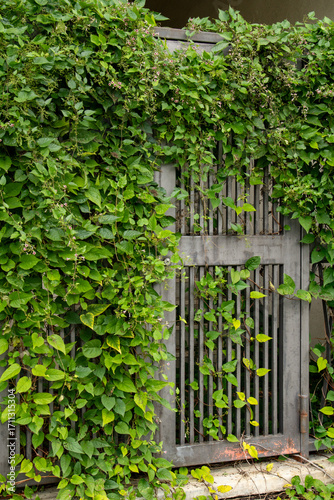 葉っぱと鉄の扉