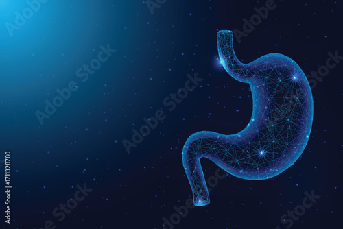 Futuristic Stomach Anatomy Illustration for Healthcare and Medical Technology