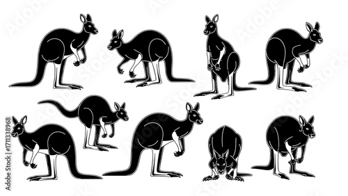 Diverse Kangaroo Poses Collection Dynamic Wildlife Animal Silhouettes Isolated on Transparent Background