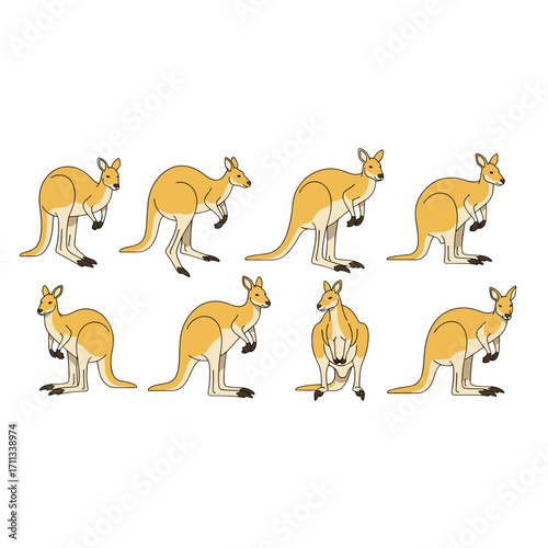 Joyful Baby Kangaroo in Mother's Pouch Isolated on Transparent Background Minimalist Vector Illustration