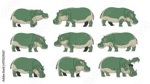 Charming cartoon hippopotamus character set with happy poses isolated on transparent background