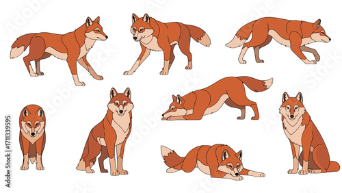Graceful red fox poses in natural positions isolated on transparent background for wildlife art