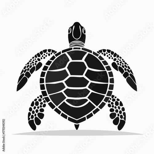Symmetrical black sea turtle illustration with intricate patterns, clean minimalist vector art