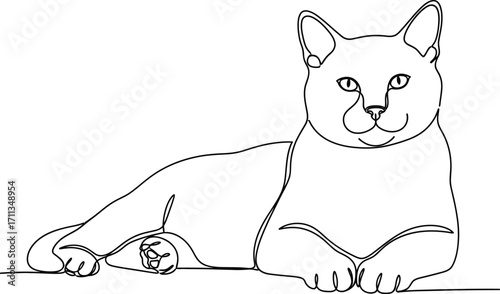 Elegant line art illustration of a relaxed cat lying down, capturing its serene presence.