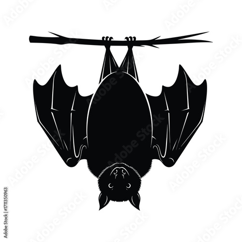 A black silhouette illustration of a bat hanging upside down from a thin tree branch.