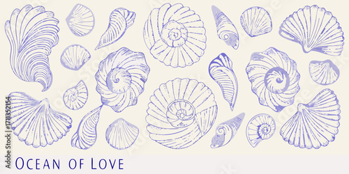 Collection of hand drawn blue seashells and spiral shells on a cream background