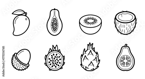 Tropical Fruits Line Art Mango, Papaya, Kiwi, Coconut and More