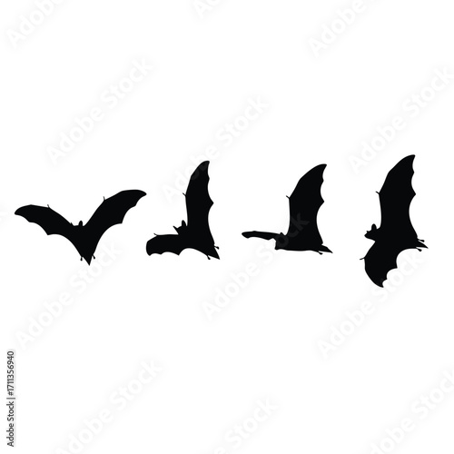 A set of four black bat silhouettes depicting various stages of a flight cycle.