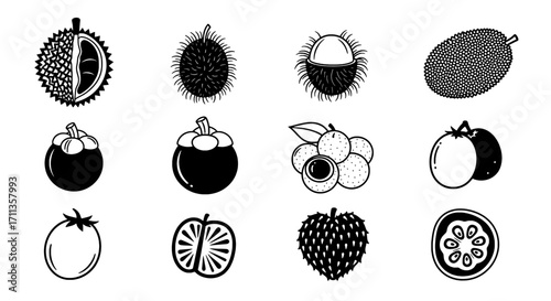 Exotic Fruit Collection Black and White Vector Illustrations