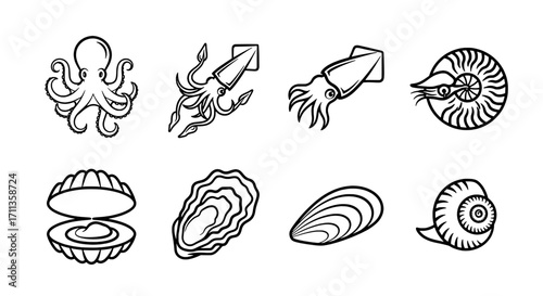 Vector Set of Sea Creatures Octopus, Squid, Shellfish, and More