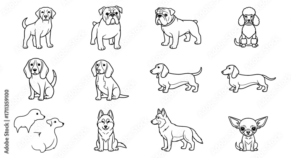 Fototapeta premium Assorted Dog Breed Illustrations A Line Art Collection