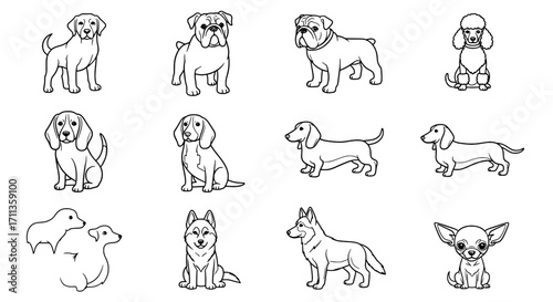 Assorted Dog Breed Illustrations A Line Art Collection