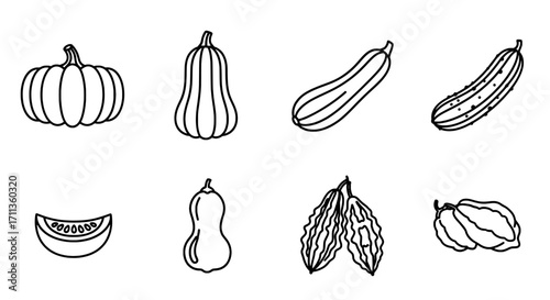 Variety of Pumpkin and Gourd Outlines for Crafts and Culinary Designs