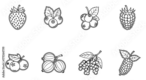Outline Berry Icon Set Strawberry, Blueberry, Raspberry & More