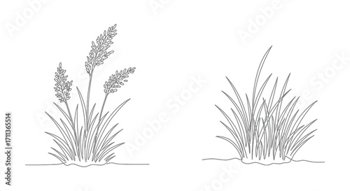 Simple sketch illustration of various grasses and foliage details shown