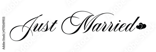just married hand lettering phrase. vector brush calligraphy text design isolated on white background. vector illustration. Eps 10.