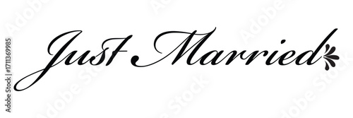 just married hand lettering phrase. vector brush calligraphy text design isolated on white background. vector illustration. Eps 10.