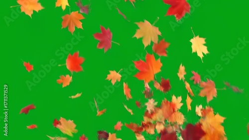 A powerful gust of wind sends multiple colorful autumn leaves swirling and falling on a green screen fall, dynamic, fast