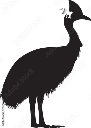 Striking cassowary silhouette, bold and iconic animal