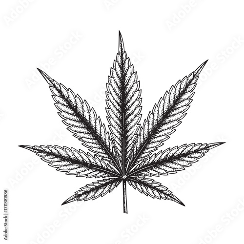 marijuana leaf vintage