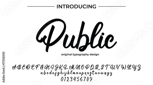 Public - Elegant Script Font for Smooth Handwritten Design and Creative Typography