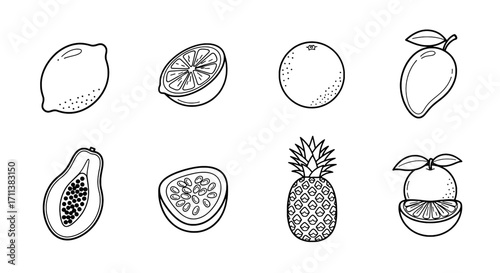 Tropical Fruit Line Art Mango, Pineapple, Papaya and More