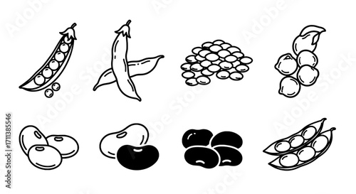 Assorted Beans and Legumes Line Art Illustration