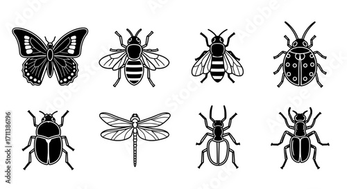 Black and White Insect Collection