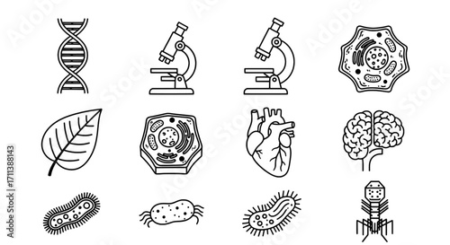 A versatile set of line icons for biology, science, and medical topics