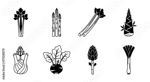 Vector Icons of Various Fresh Vegetables