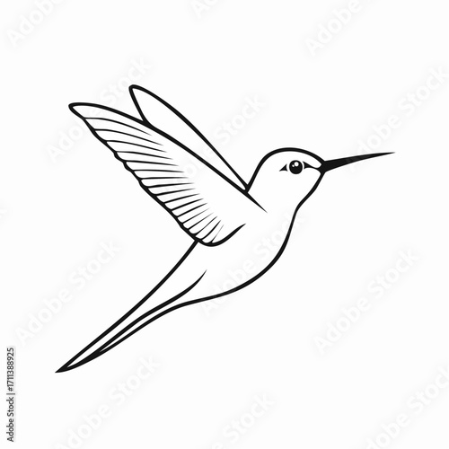 Cartoon hummingbird vector illustration in minimal line art style