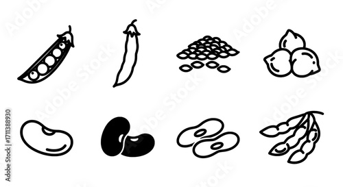 Illustrative Bean Icons A Collection of Various Bean Types