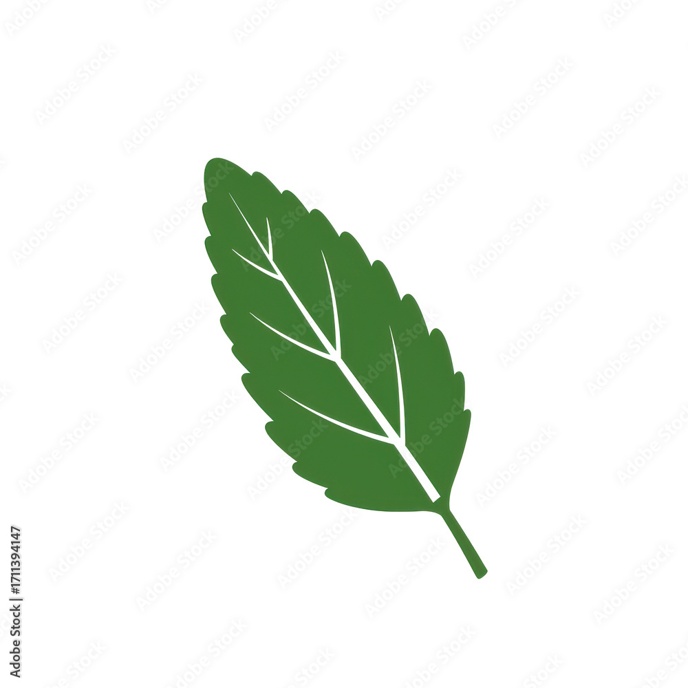 Fototapeta premium Single dark green mint leaf illustration isolated on white background