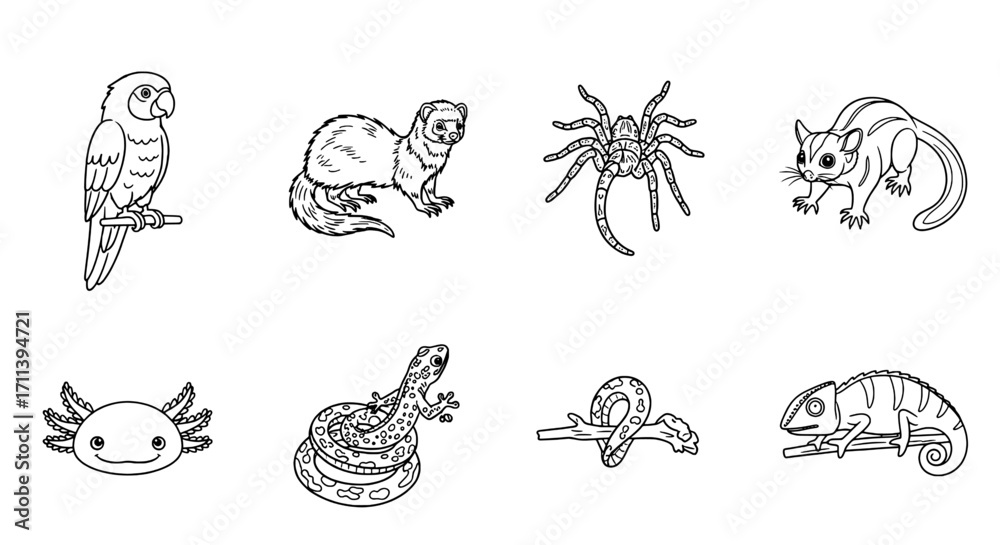 Fototapeta premium Monochrome Line Art Set of Exotic and Wild Animals Diverse Species Outlined for Educational Design