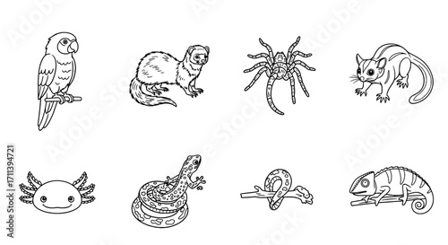 Monochrome Line Art Set of Exotic and Wild Animals Diverse Species Outlined for Educational Design
