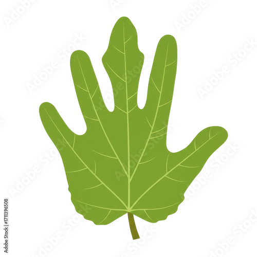 Unique hand-shaped fig leaf illustration isolated on white background